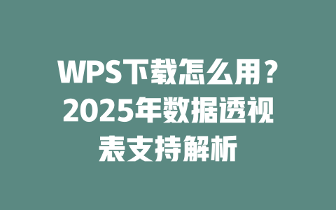 WPS下载怎么用?2025年数据透视表支持解析 二