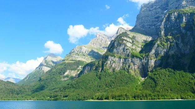 WPS下载是否支持演示动画功能?官方详细教程带你快速了解2025年 一