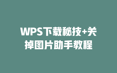 WPS下载秘技+关掉图片助手教程 二