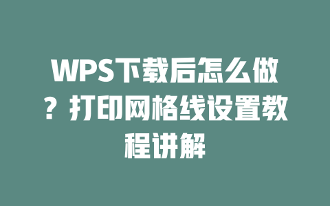 WPS下载后怎么做？打印网格线设置教程讲解 二