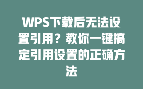WPS下载后无法设置引用?教你一键搞定引用设置的正确方法 二