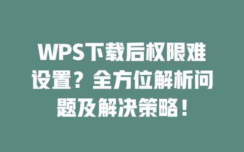 WPS下载后权限难设置?全方位解析问题及解决策略! 二