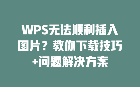 WPS无法顺利插入图片?教你下载技巧+问题解决方案 二