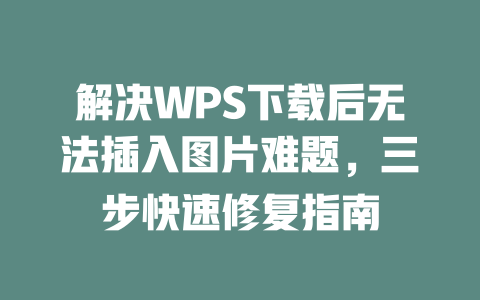 解决WPS下载后无法插入图片难题,三步快速修复指南 二