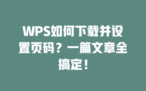 WPS如何下载并设置页码?一篇文章全搞定! 二
