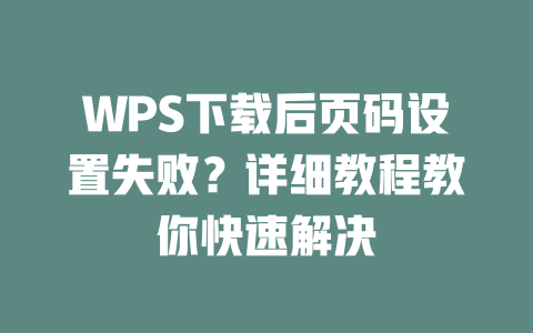 WPS下载后页码设置失败?详细教程教你快速解决 二