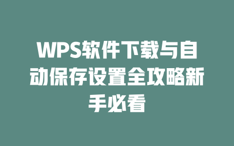 WPS软件下载与自动保存设置全攻略新手必看 二
