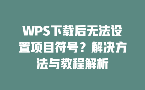 WPS下载后无法设置项目符号?解决方法与教程解析 二